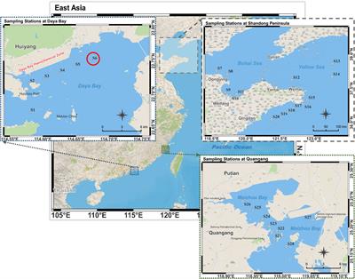 Bioremediation of propylbenzenes by a novel marine microalga Rhinomonas reticulata S6A isolated from Daya Bay: acute toxicity, growth kinetics and biodegradation performance